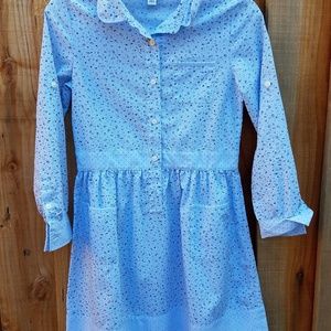 Gorgeous vintage Blue Dress.